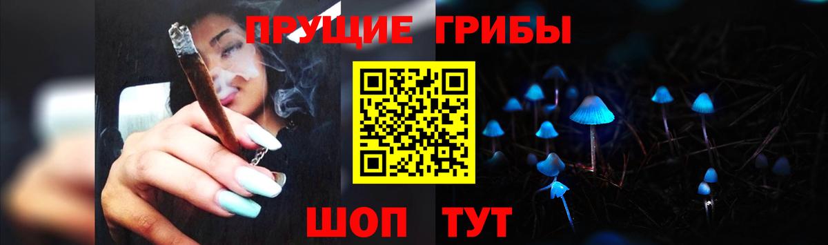 Чебаркуль  Псилоцибиновые грибы Cubensis  Вход с VPN 
