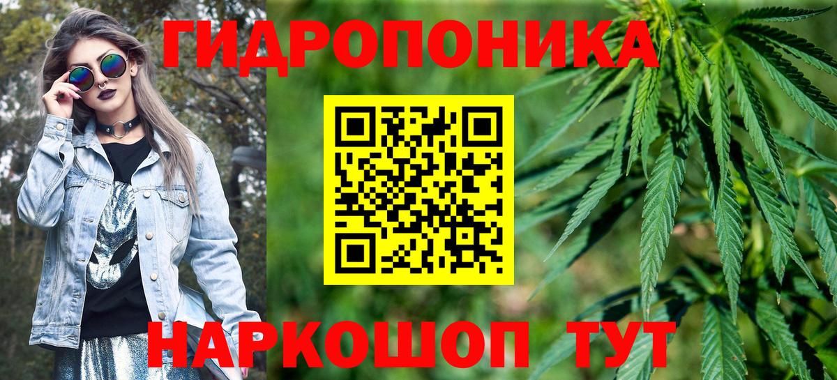 Канабис семена Чебаркуль